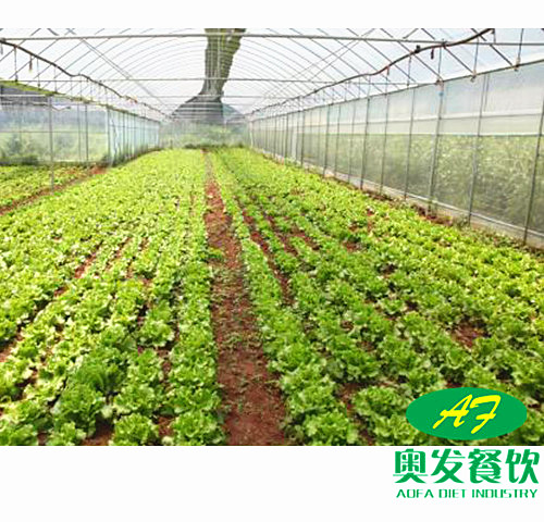 武汉学校食堂承包工作应该如何做到更好？