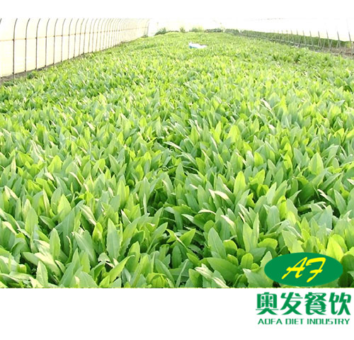 武汉蔬菜配送时要注意什么？