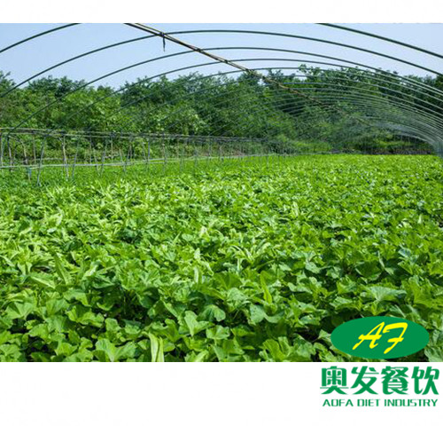 武汉蔬菜配送的运作流程是怎样的？